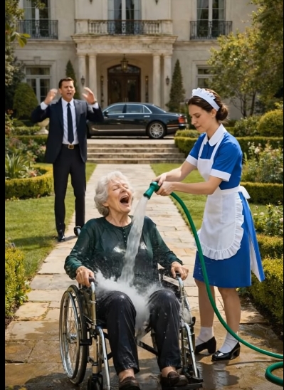 Miljardären kom hem tidigare än planerat och när han såg hur tjänstekvinnan behandlade hans mor gjorde han något som chockade alla